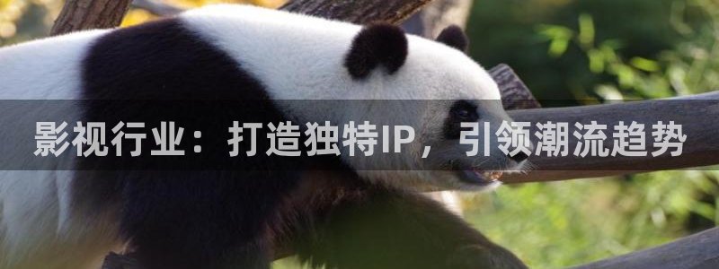 悟空视频影视大全免费下载：影视行业：打造独特IP，引领潮流趋势