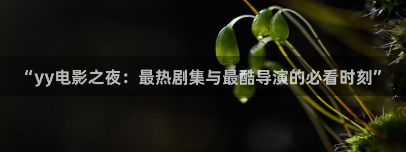 悟空免费短视频剧：“yy电影之夜：最热剧集与最酷导演的必看时刻”