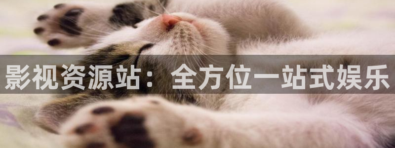 悟空影视大全新版：影视资源站：全方位一站式娱乐