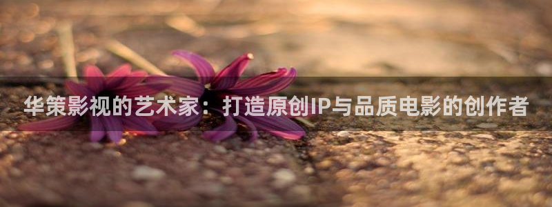 悟空悟空悟空在线观看视频：华策影视的艺术家：打造原创IP与品质电影的创作者