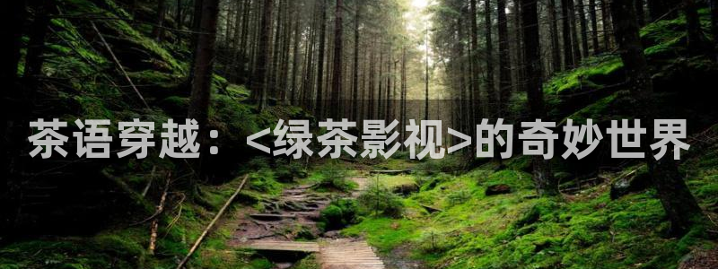 悟空crm视频：茶语穿越：<绿茶影视>的奇妙世界