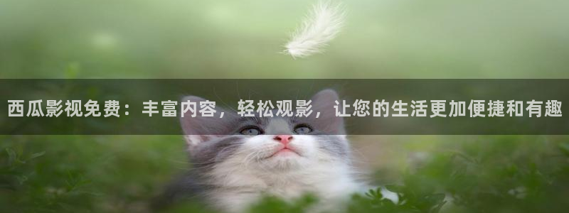 悟空免费高清在线观看视频：西瓜影视免费：丰富内容，轻松观影，让您的生活更加便捷和有趣