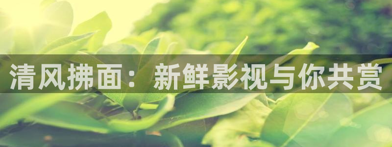 悟空免费观看在线完整版：清风拂面：新鲜影视与你共赏