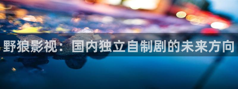 悟空分身教程视频：野狼影视：国内独立自制剧的未来方向