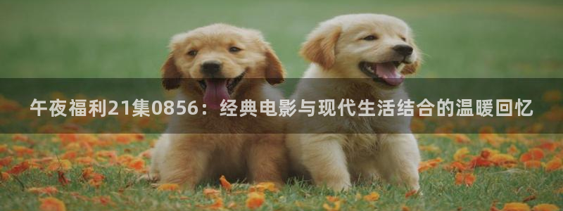 孙悟空配音视频大全：午夜福利21集0856：经典电影与现代生活结合的温暖回忆