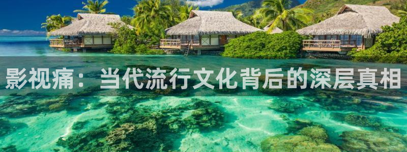悟空crm视频：影视痛：当代流行文化背后的深层真相